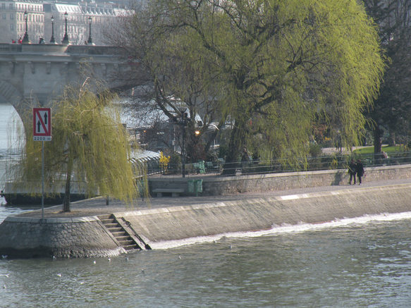  pointe de l'Ile de la Cité